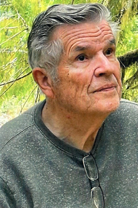 John Willard Van Diest